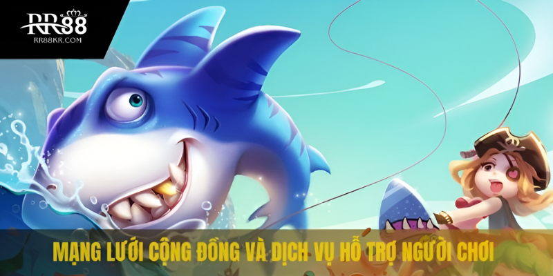 Mạng lưới cộng đồng và dịch vụ hỗ trợ người chơi