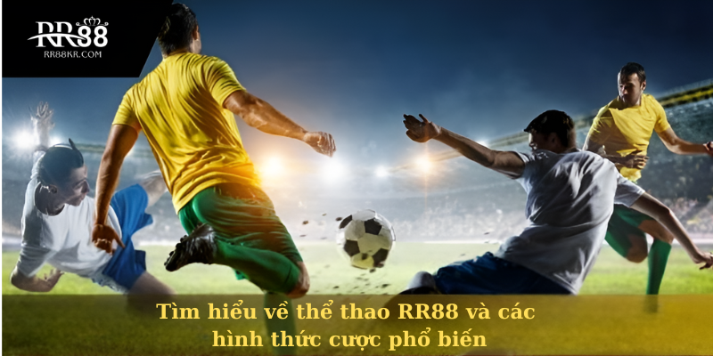Tìm hiểu về thể thao RR88 và các hình thức cược phổ biến