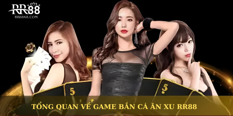 Khám Phá Toàn Diện Về RR88 - Trang Web Cá cược Đỉnh Cao Với Nhiều Tiềm Năng Phát Triển